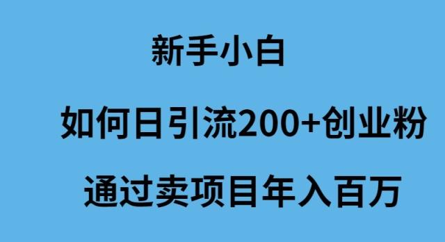 (9668期)新手小白如何日引流200+创业粉通过卖项目年入百万-chywc