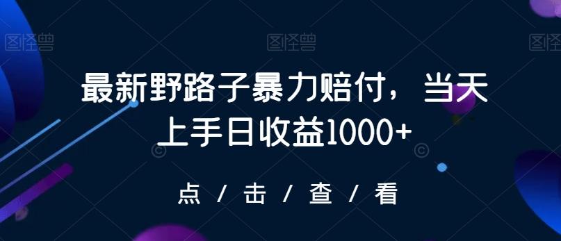 最新野路子暴力赔付，当天上手日收益1000+【仅揭秘】-chywc