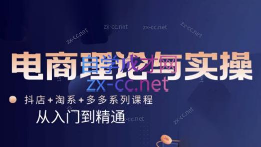 磊子·电商理论与实操(抖店+淘系+拼多多)-chywc