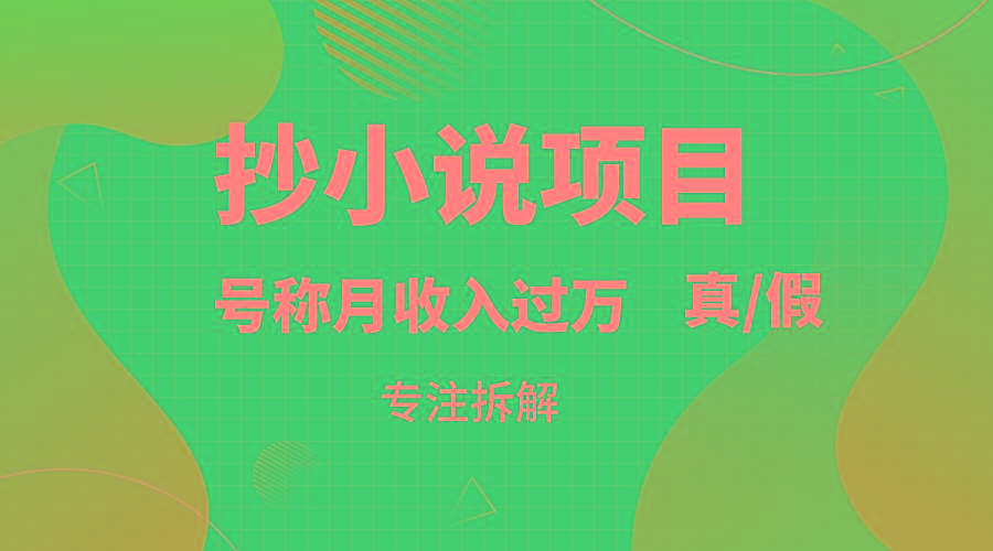 抄小说项目，号称月入过万，到底是否真实，能不能做，详细拆解-chywc
