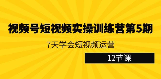 视频号短视频实操训练营第5期：7天学会短视频运营(12节课)-chywc
