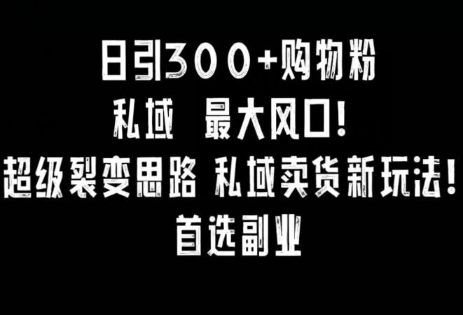 日引300+购物粉，超级裂变思路，私域卖货新玩法，小红书首选副业【揭秘】-chywc