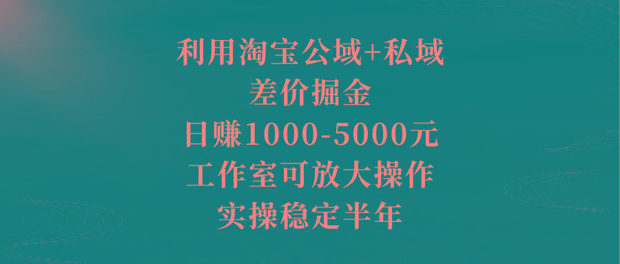 利用淘宝公域+私域差价掘金，日赚1000-5000元，工作室可放大操作，实操…-chywc