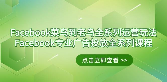 Facebook-菜鸟到老鸟全系列运营玩法+Facebook-专业广告投放全系列课程-chywc