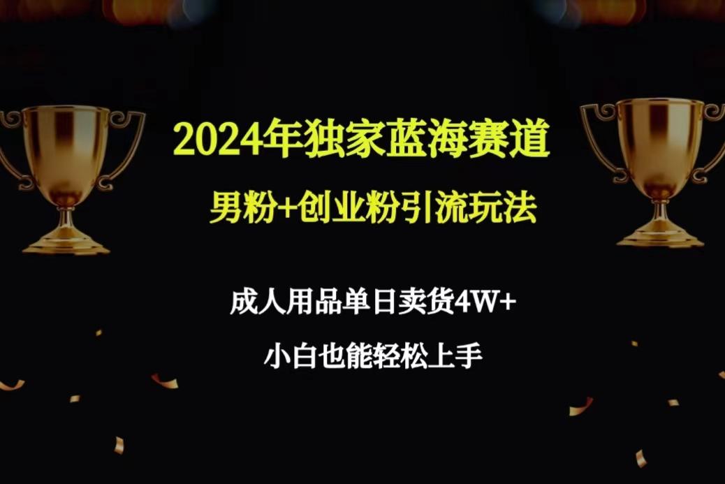 2024年独家蓝海赛道男粉+创业粉引流玩法，成人用品单日卖货4W+保姆教程-chywc