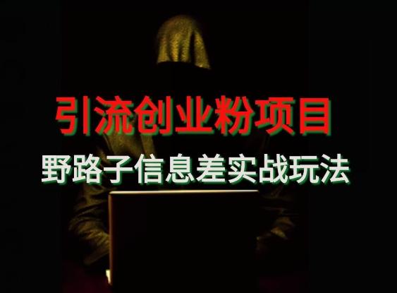 【引流创业粉】野路子信息差玩法实战教学-chywc