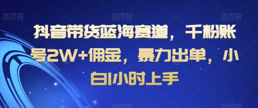 抖音带货蓝海赛道，千粉账号2W+佣金，暴力出单，小白1小时上手【揭秘】-chywc