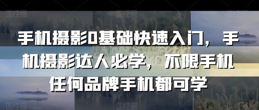 手机摄影0基础快速入门，手机摄影达人必学，不限手机任何品牌手机都可学-chywc