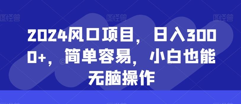 2024风口项目，日入3000+，简单容易，小白也能无脑操作-chywc