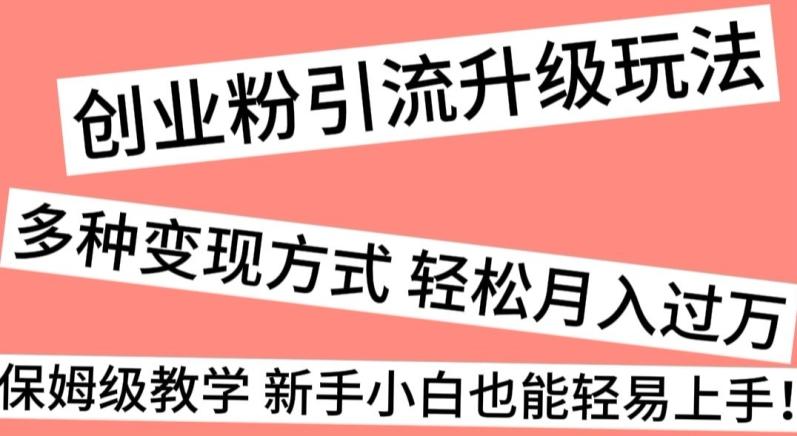 创业粉引流升级玩法，多种变现方式轻松月入过万，保姆级教学新手小白也能轻易上手！-chywc