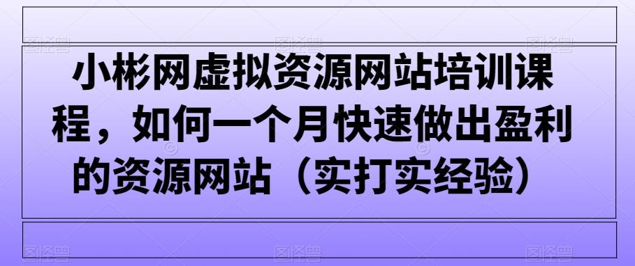 小彬网虚拟资源网站培训课程，如何一个月快速做出盈利的资源网站(实打实经验)-chywc