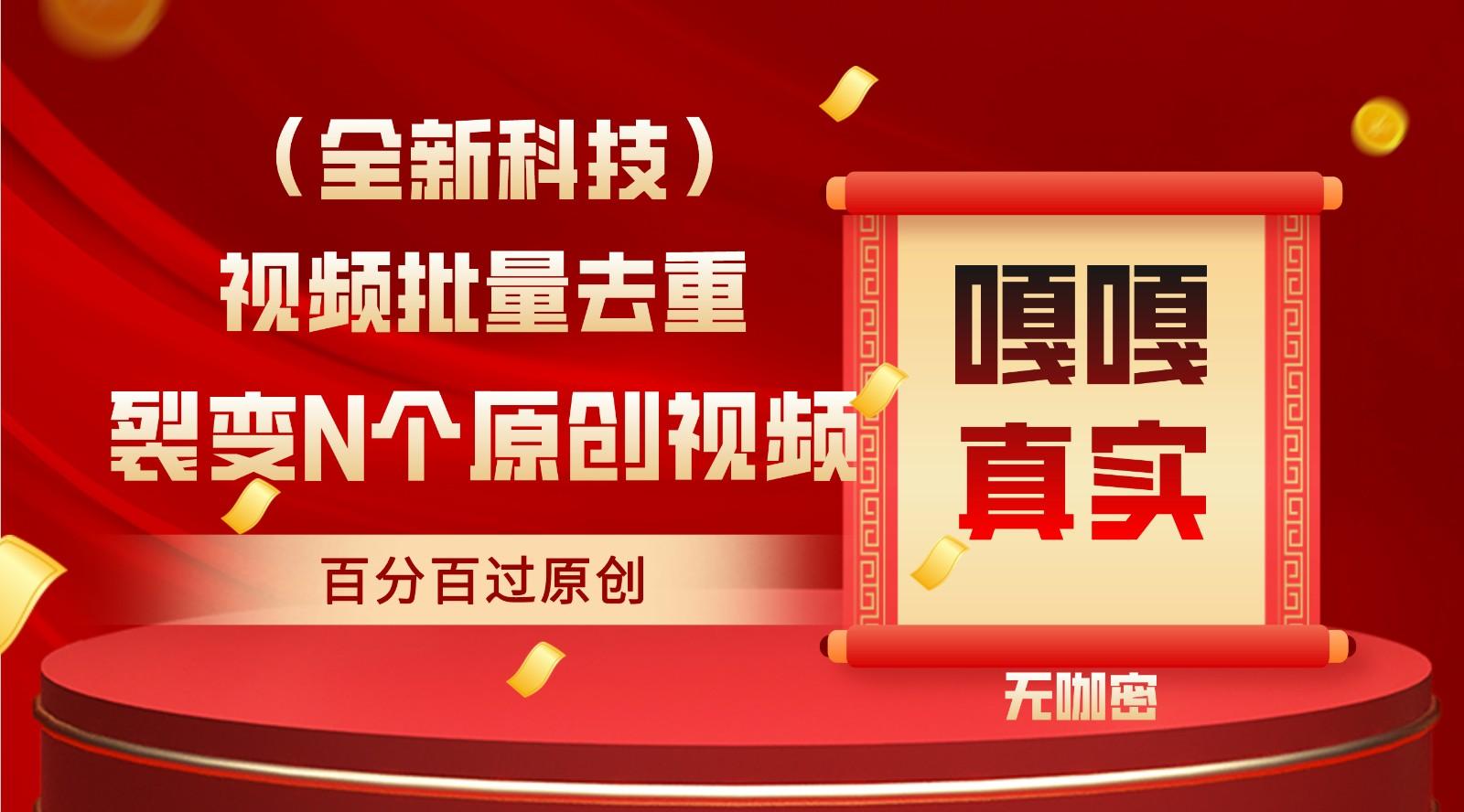 最新全自动去重技术，批量操作百分百过原创-chywc