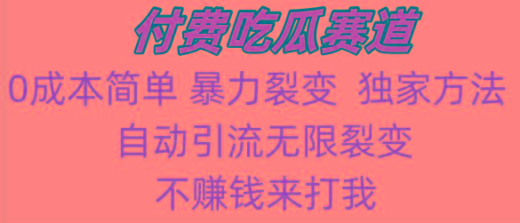 吃瓜付费赛道，暴力无限裂变，0成本，实测日入700+！！！-chywc