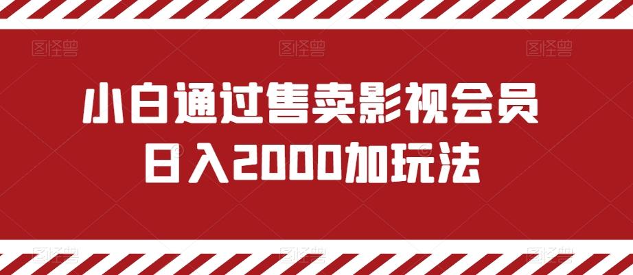 小白通过售卖影视会员日入2000加玩法-chywc