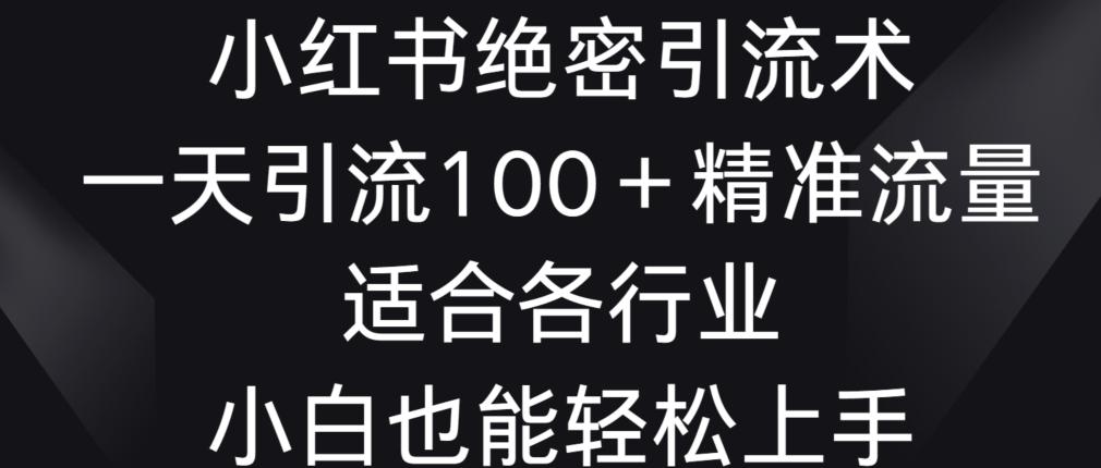 小红书绝密引流术，一天引流100+精准流量，适合各个行业，小白也能轻松上手【揭秘】-chywc
