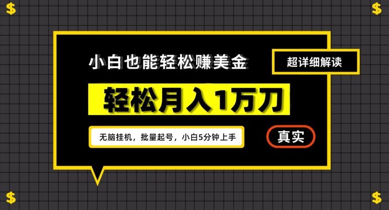 谷歌看广告撸美金2.0，无脑挂机，多号操作，月入1万刀【揭秘】-chywc