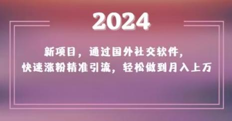 2024新项目，通过国外社交软件，快速涨粉精准引流，轻松做到月入上万【揭秘】-chywc