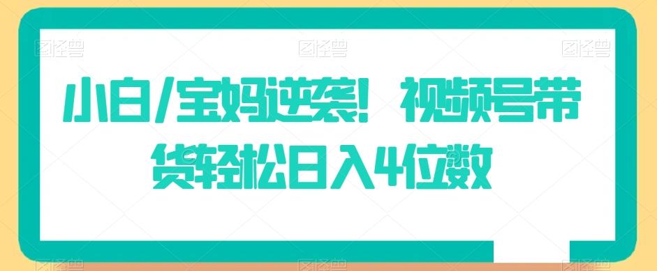 小白/宝妈逆袭！视频号带货轻松日入4位数【揭秘】-chywc