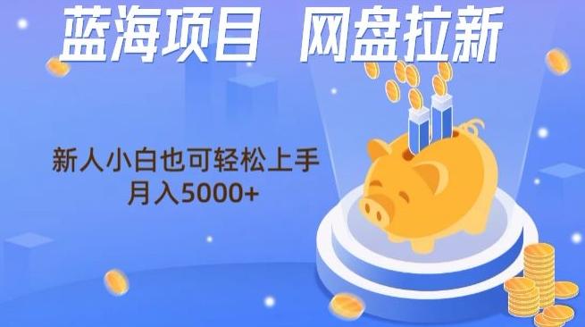 蓝海项目网盘拉新，新人小白也可操作，每月收入5000+-chywc
