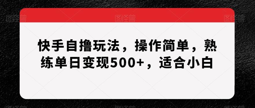快手自撸玩法，操作简单，熟练单日变现500+，适合小白【揭秘】-chywc