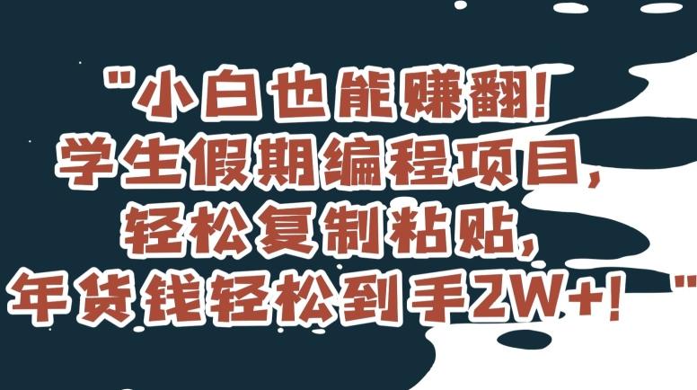 小白也能赚翻！学生假期编程项目，轻松复制粘贴，年货钱轻松到手2W+【揭秘】-chywc