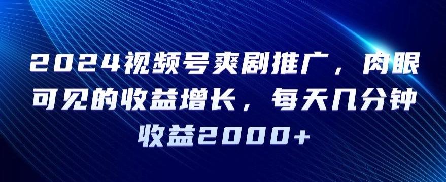 2024视频号爽剧推广，肉眼可见的收益增长，每天几分钟收益2000+【揭秘】-chywc