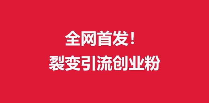 (全网首发)外面收费几千的裂变引流高质量创业粉-chywc
