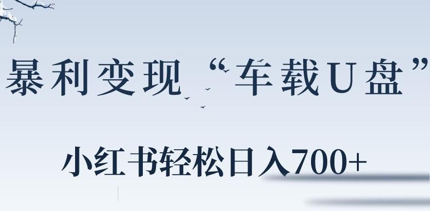 小红书“车载U盘”暴利引流，日入700+-chywc