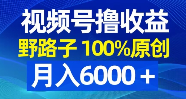 视频号野路子撸收益，100%原创，条条爆款，月入6000＋【揭秘】-chywc