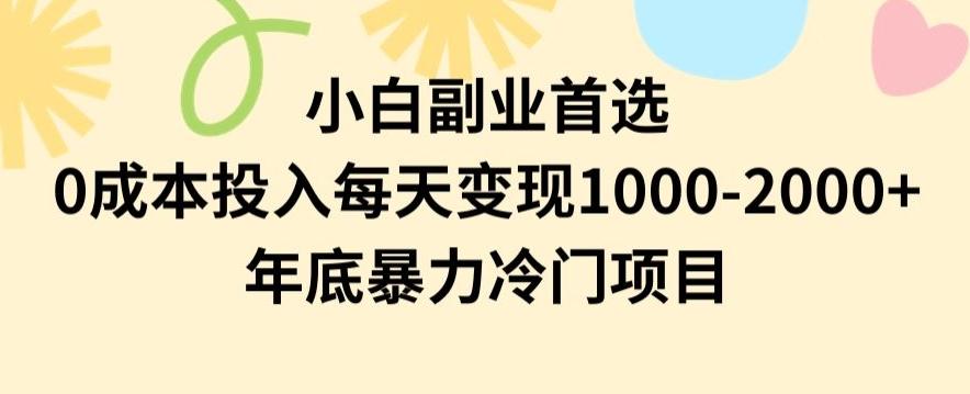 小白副业首选，0成本投入，每天变现1000-2000年底暴力冷门项目【揭秘】-chywc