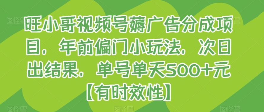 旺小哥视频号薅广告分成项目，年前偏门小玩法，次日出结果，单号单天500+元【有时效性】-chywc