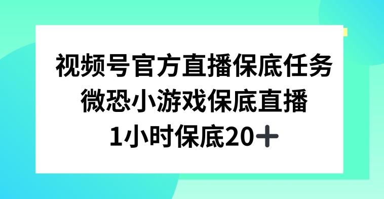 视频号直播任务，微恐小游戏，1小时20+【揭秘】-chywc