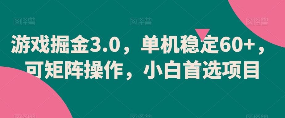 游戏掘金3.0，单机稳定60+，可矩阵操作，小白首选项目【揭秘】-chywc