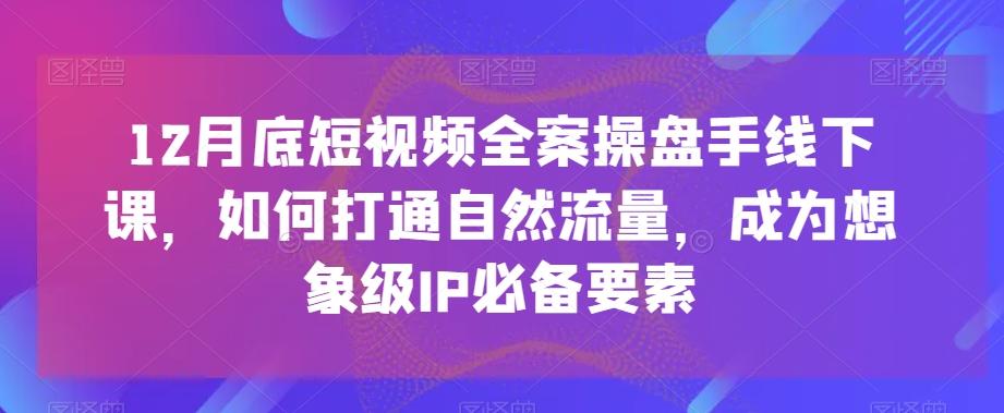 12月底短视频全案操盘手线下课，如何打通自然流量，成为想象级IP必备要素-chywc