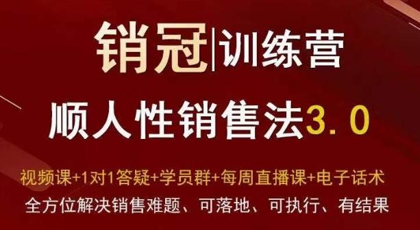 爆款！销冠训练营3.0之顺人性销售法，全方位解决销售难题、可落地、可执行、有结果-chywc