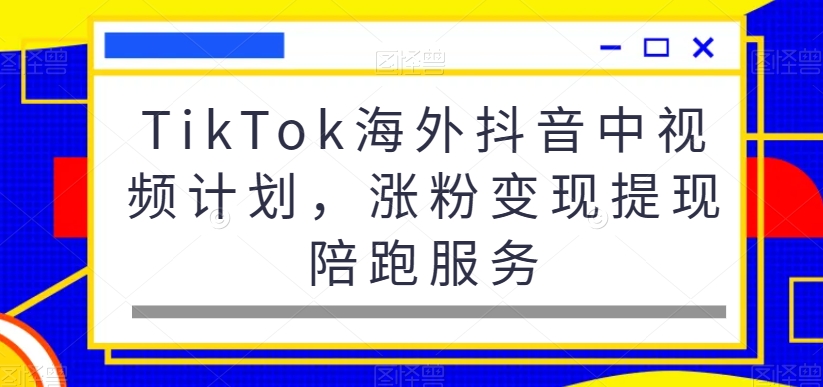 TikTok海外抖音中视频计划，涨粉变现提现陪跑服务-chywc