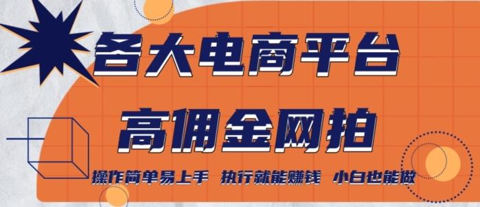 各大电商平台高佣金网拍，操作简单易上手，执行就能赚钱，小白也能做-chywc