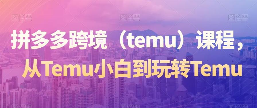 拼多多跨境（temu）课程，从Temu小白到玩转Temu-chywc