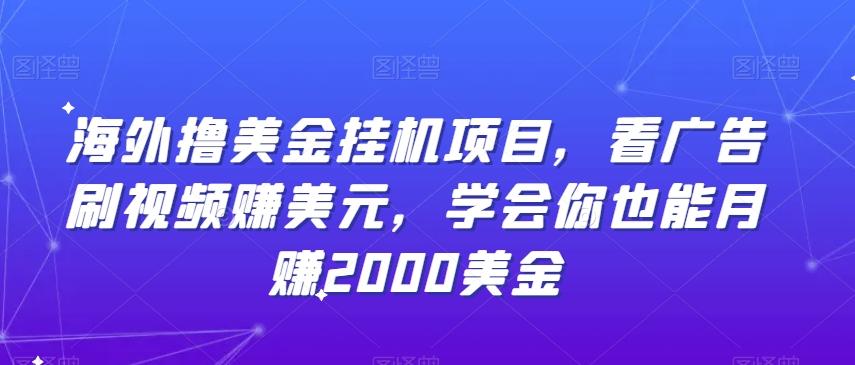 海外撸美金挂机项目，看广告刷视频赚美元，学会你也能月赚2000美金-chywc