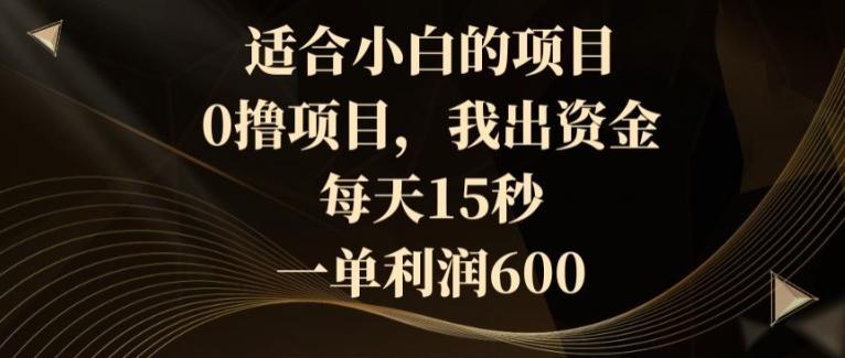 适合小白的项目，0撸项目，我出资金，每天15秒，一单利润600-chywc