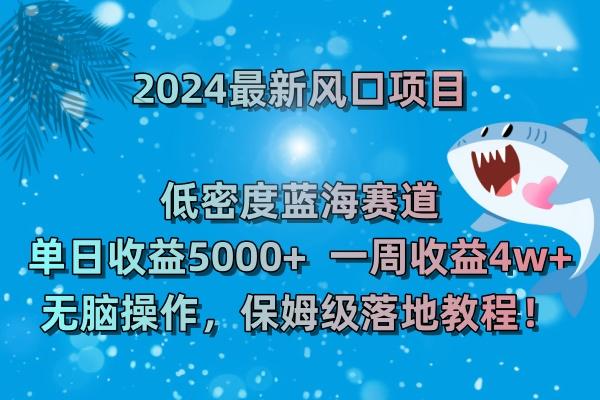 (8545期)2024最新风口项目 低密度蓝海赛道，日收益5000+周收益4w+ 无脑操作，保…-chywc