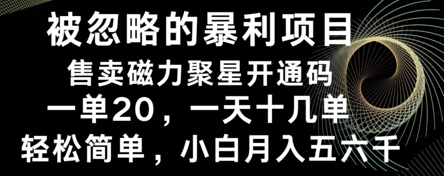 被忽略的暴利项目！售卖磁力聚星开通码，一单20，一天十几单，轻松月入五六千-chywc