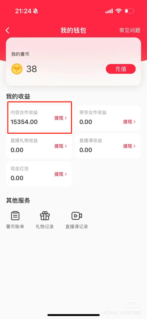热门评论引爆小红书流量，作品制作简单，广告接到手软，月入过万不是梦-chywc