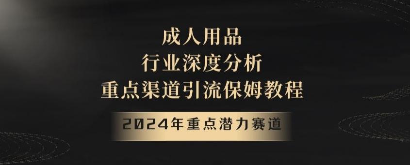 2024年重点潜力赛道，成人用品行业深度分析，重点渠道引流保姆教程【揭秘】-chywc