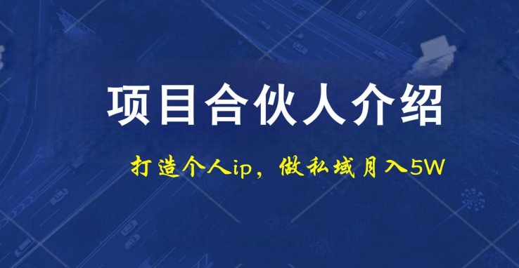 项目合伙人项目，打造个人IP，做私域月入5W，小白勿扰-chywc