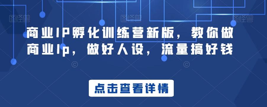 商业IP孵化训练营新版，教你做商业Ip，做好人设，流量搞好钱-chywc