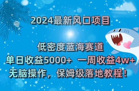 2024最新风口项目，低密度蓝海赛道，单日收益5000+，一周收益4w+！【揭秘】-chywc