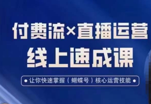 视频号付费流实操课程，付费流✖️直播运营速成课，让你快速掌握视频号核心运营技能-chywc