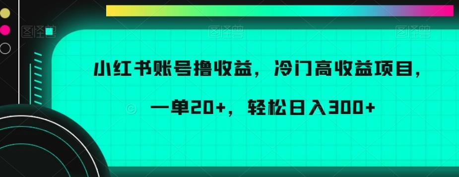 小红书账号撸收益，冷门高收益项目，一单20+，轻松日入300+【揭秘】-chywc