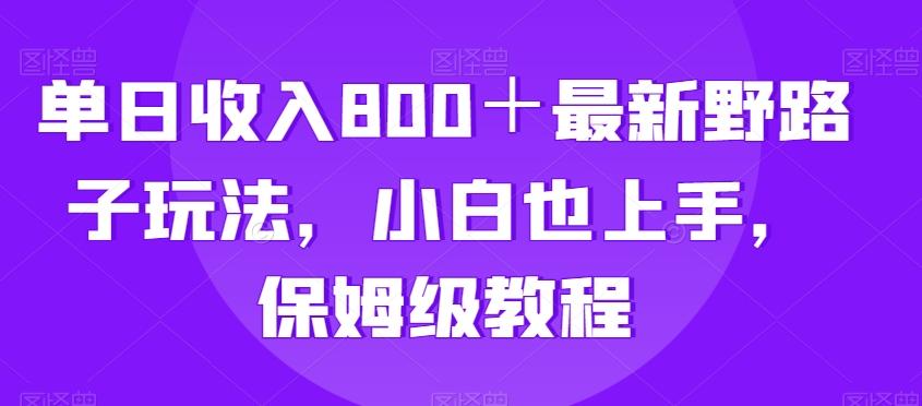 单日收入800＋最新野路子玩法，小白也上手，保姆级教程-chywc